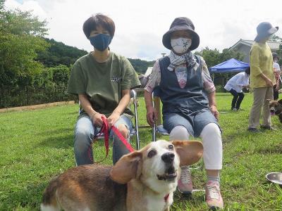 譲渡犬の同窓会